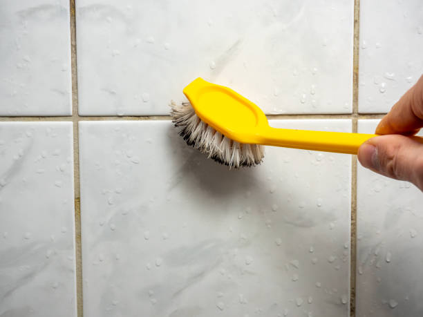 Best Local Mold Removal Service  in Horse Pasture, VA
