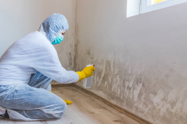 Best Mold Cleaning Services  in Horse Pasture, VA