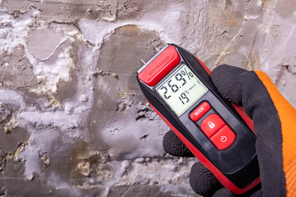Best Crawl Space Mold Removal  in Horse Pasture, VA