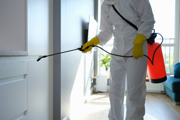 Best Mold Removal Company Near Me  in Horse Pasture, VA