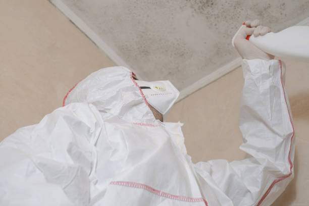 Office Mold Removal Services in Horse Pasture, VA